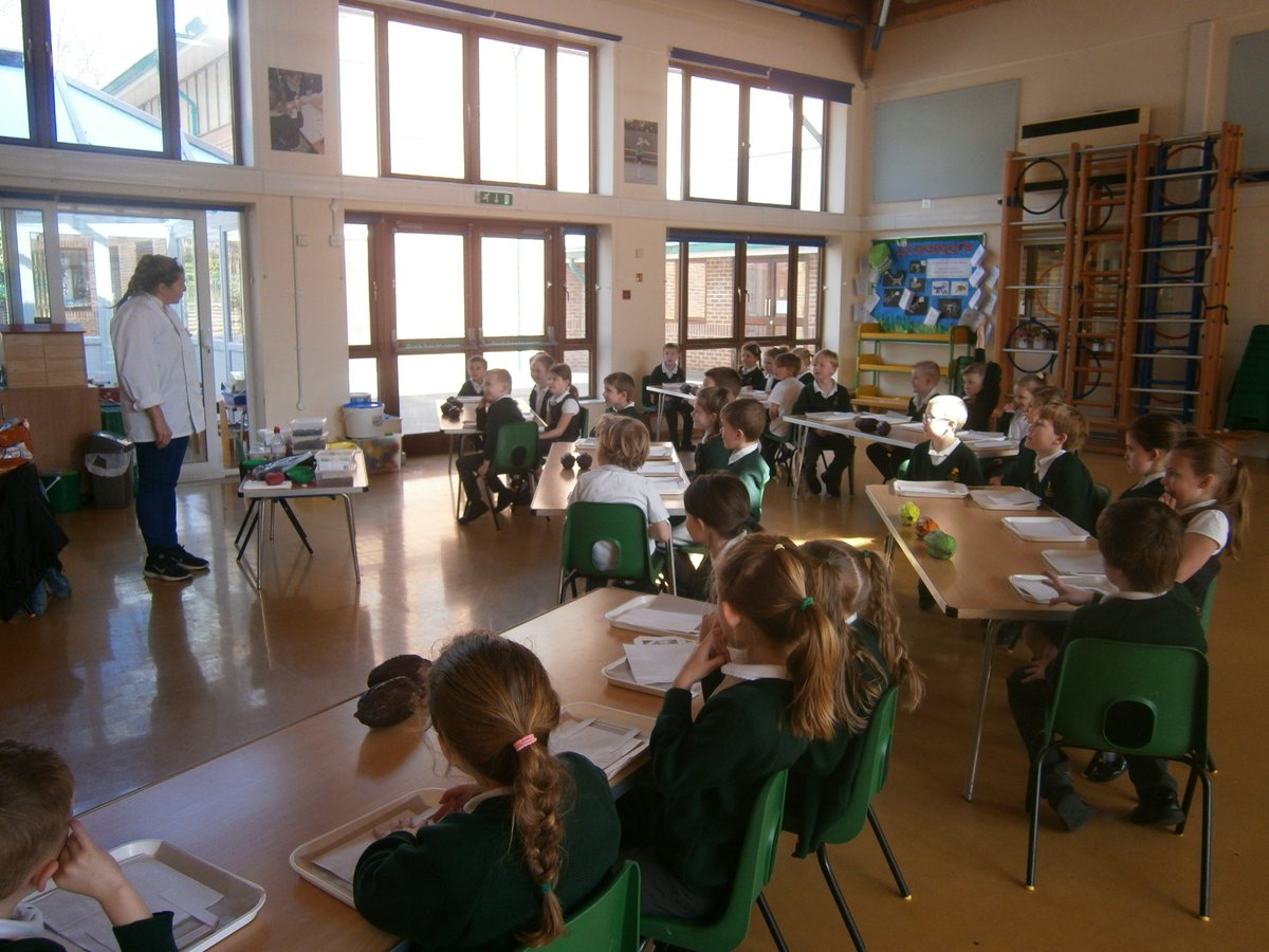 Ashdown Primary School tweet media