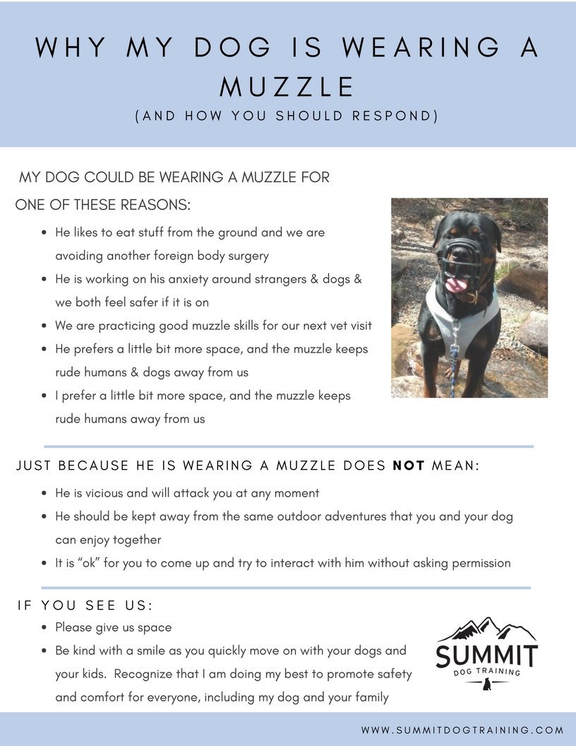 gsrescueelite's tweet photo. We always get negative comments when a dog is wearing a #Muzzle but there can be a multitude if reasons why and sometimes it's the difference between a dog being alive and being pts. We must end the stigma around Muzzles.
#WednesdayWisdom #MuzzleStigma https://t.co/BG2kUOhImI