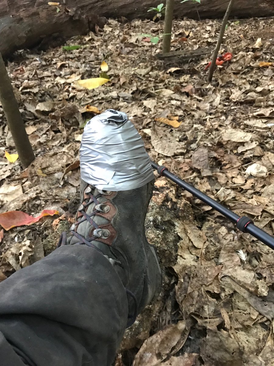 a_dorrestein's tweet photo. My shoes are telling me it’s time time to go home.. #phdlife #pinnacles #remotefieldwork https://t.co/TMBTpKA8Zi