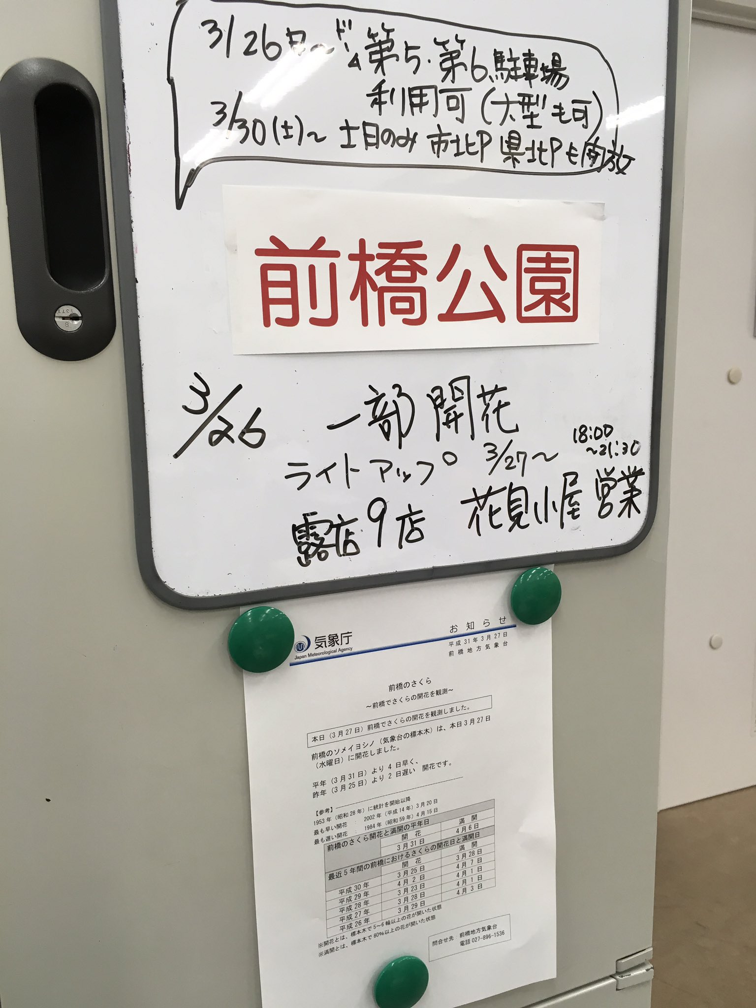 前橋観光コンベンション協会 前橋地方気象台から開花が発表になりました 前橋 公園も本日よりライトアップを開始するそう 露天も９店ほど出ているとのこと 赤城南面千本桜は市街地より4 7日程度遅いため 開花まではもう少し まだ夜は冷え込みますので