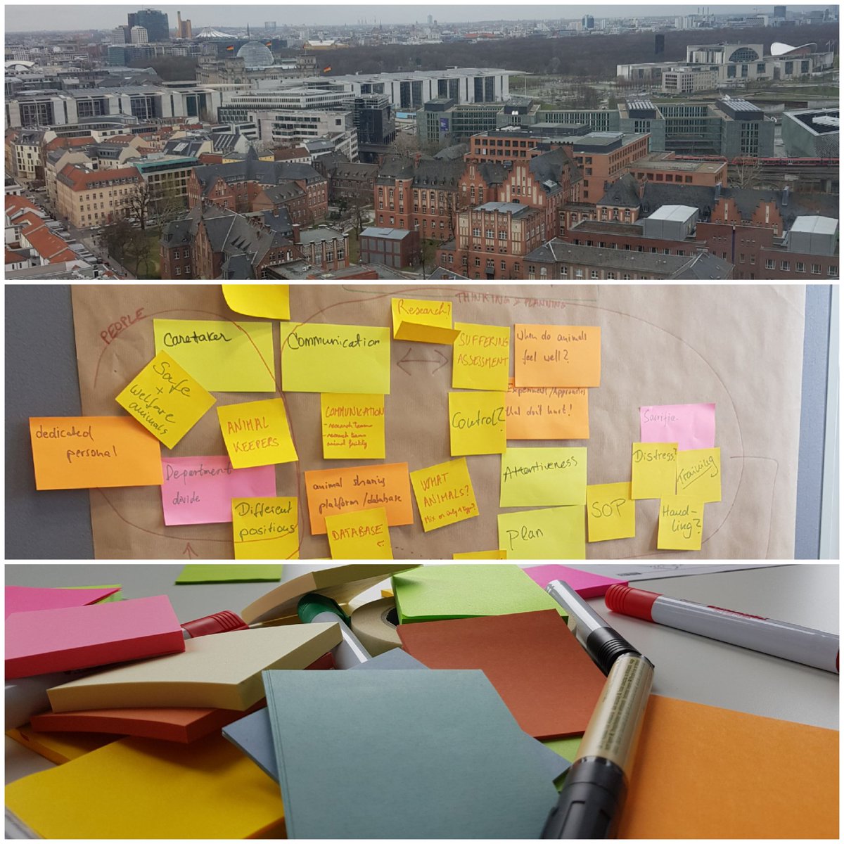 AmiLang_Science's tweet photo. Second day of our interactive workshop @ChariteBerlin with a great view, highly motivated PhD-students & Postdocs, innovative ideas and a lot of Post-its! #3R, #Charite3R, #DesignThinking, #thinkoutsidethebox #RethinkScience https://t.co/MbRC8y97qo