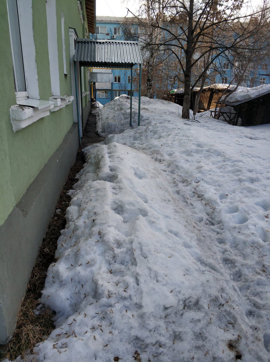 Stepan Korshikov tweet media