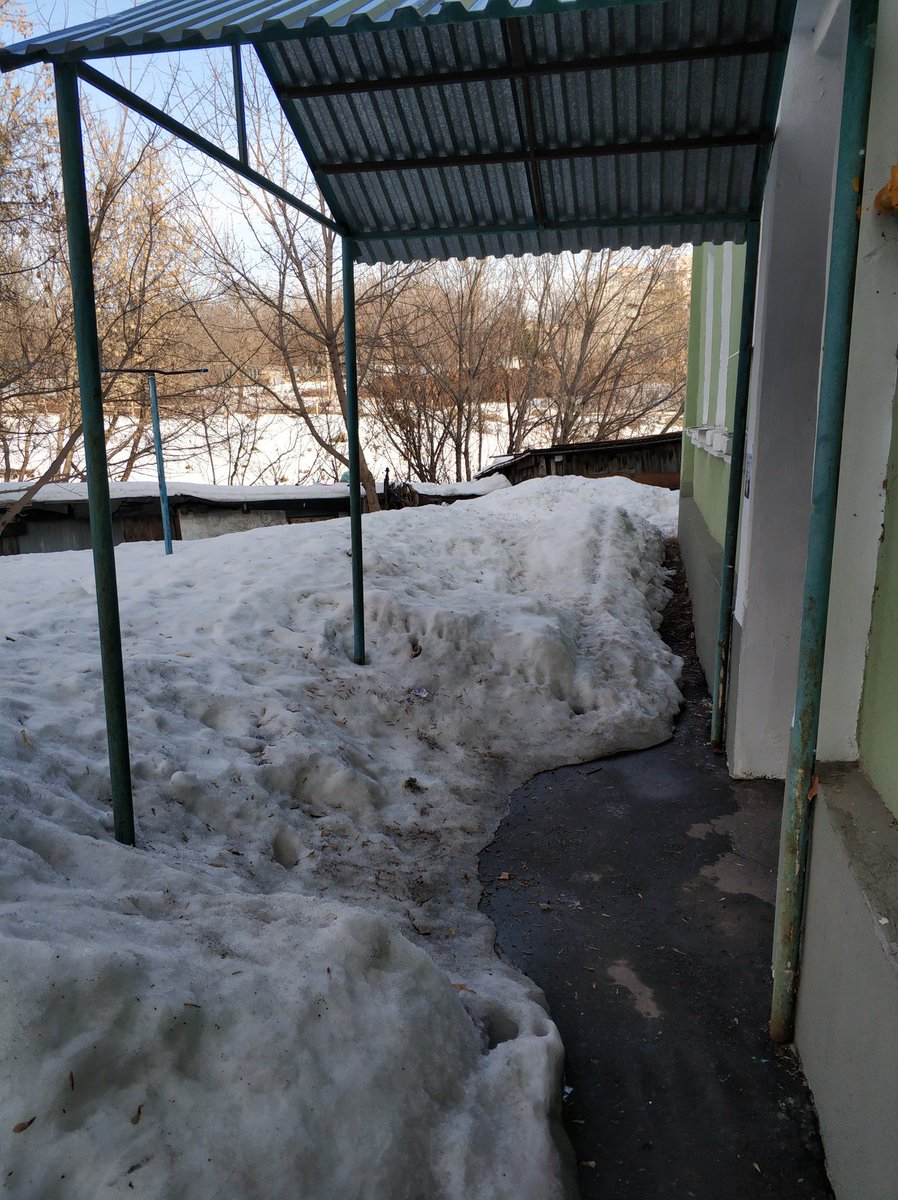 Stepan Korshikov tweet media