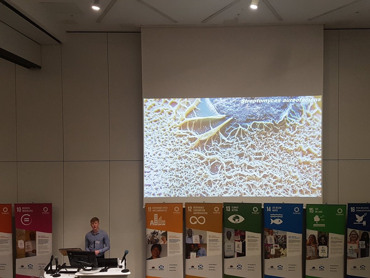 Mostlymicrobia's tweet photo. Particularly loved this great photo Sean showed of our favourite #Streptomyces - key to our search for new antibiotics! #VIP4SD https://t.co/Y96fE8nRZL