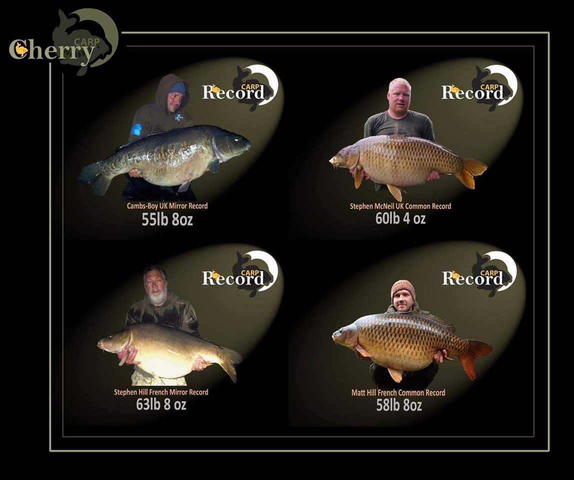 cherry_carp's tweet image. Everything to play for in 2019 Guys! Come on... 😉
