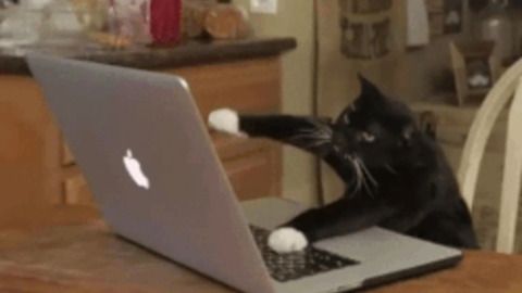 Cahoots4All's tweet photo. Waiting ‘til the last minute to finish an assignment. #HOOT19 https://t.co/samHsiuZ93