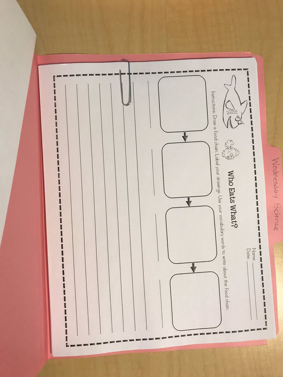 MonicaBega's tweet photo. Working on writing in Science by creating and using our unit vocabulary to write about a food chain!! Cross curricular learning with a sub is in the plans for today! @NatWilliamsElem @LubbockISD @Elar_LubbockISD #bemorewildcat #bemorecomposing https://t.co/vtoJF7VR8p