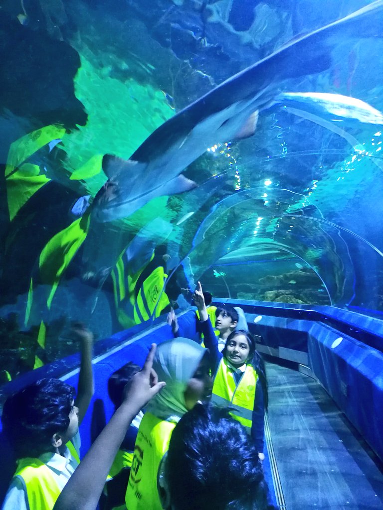 It's been a fun filled day with our adventures in the underwater world! 🦈🐠🦀

<a href="/OliveTreeBolton/">Olive Tree Primary</a> <a href="/BluePlanetUK/">Blue Planet Aquarium</a> @skolac6