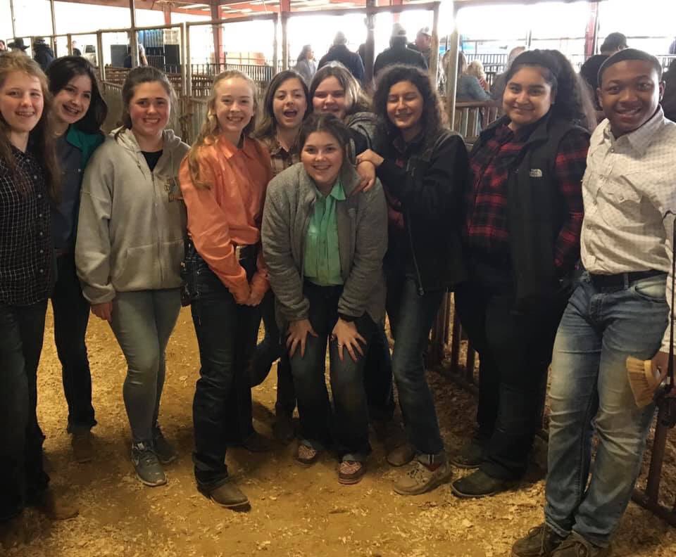 RedOakFFA's tweet photo. Another beautiful morning for another exciting show day in Ellis County! Good Luck to all of our Red Oak FFA pig exhibitors showing their livestock today! https://t.co/Bk7VhqBH3A
