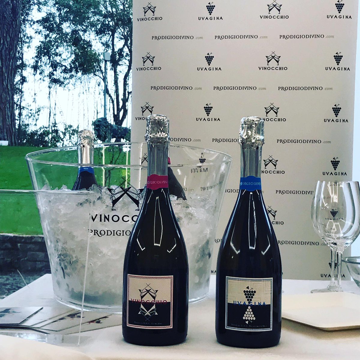 Prodigio Divino tweet media