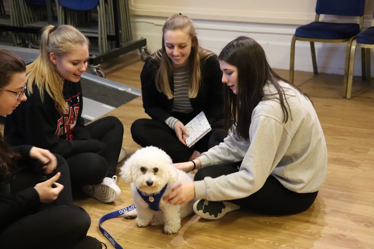 Yesterday we had a very special guest come to school &amp; meet our girls 🐶. Bella a Pet as Therapy (PAT) dog and owner, Barry Coarse were PAT dog of the year at Crufts 2019. In the Summer term, Bella &amp; Barry will be working with our girls to provide a friendly pat and support!