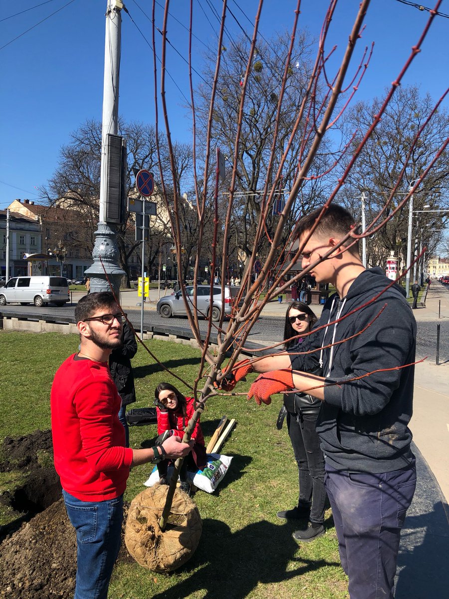 SymphonyCareer's tweet photo. A small effort can create a great impact. It’s all about our Annual Green Week initiative. Different activities in all locations with the same goal – to raise awareness about healthy habits, eco-initiative, and charity. Believe in green! 🌳💚 #symphonysolutions #eco https://t.co/xqHEBgGnL5
