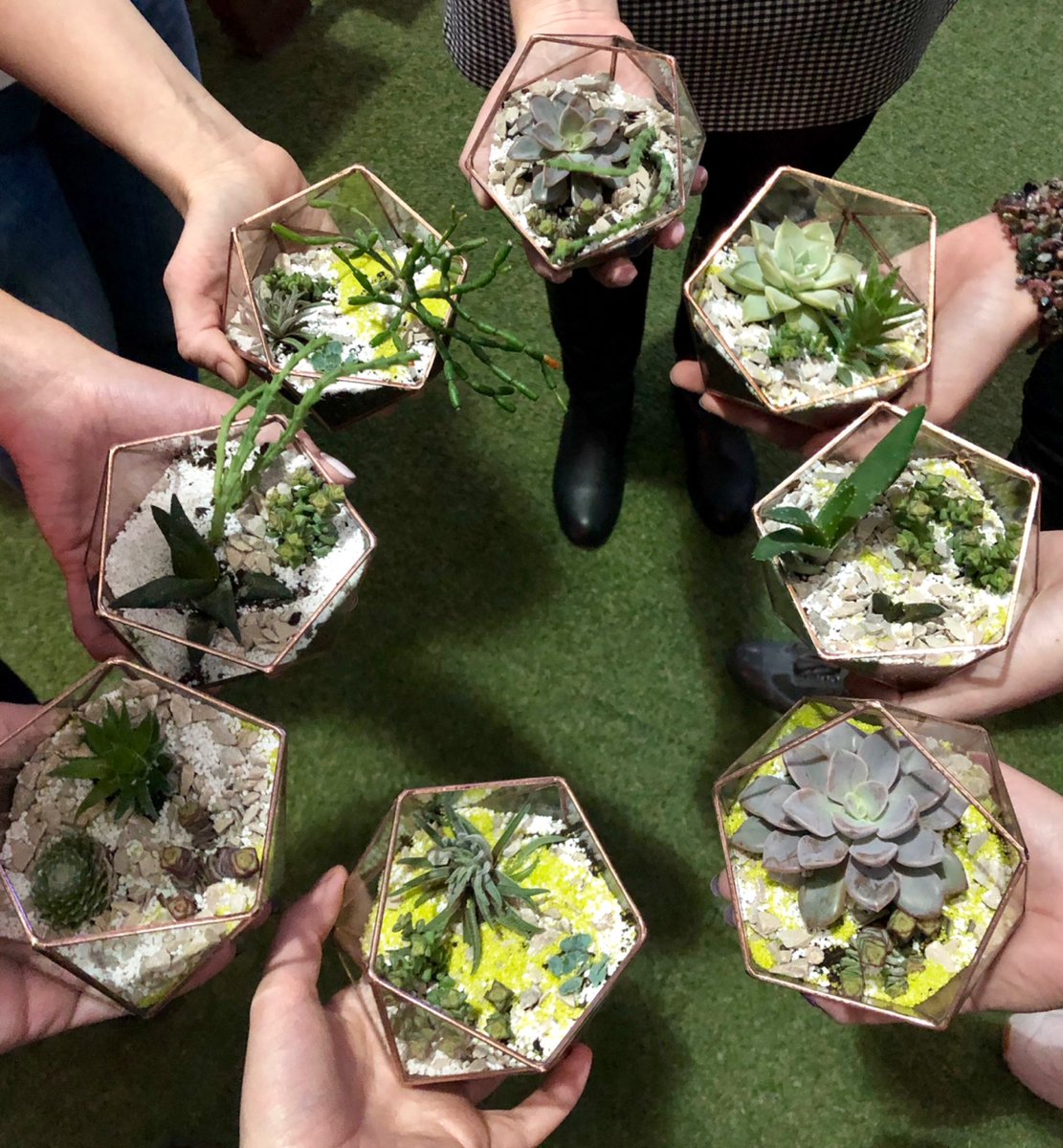 SymphonyCareer's tweet photo. A small effort can create a great impact. It’s all about our Annual Green Week initiative. Different activities in all locations with the same goal – to raise awareness about healthy habits, eco-initiative, and charity. Believe in green! 🌳💚 #symphonysolutions #eco https://t.co/xqHEBgGnL5