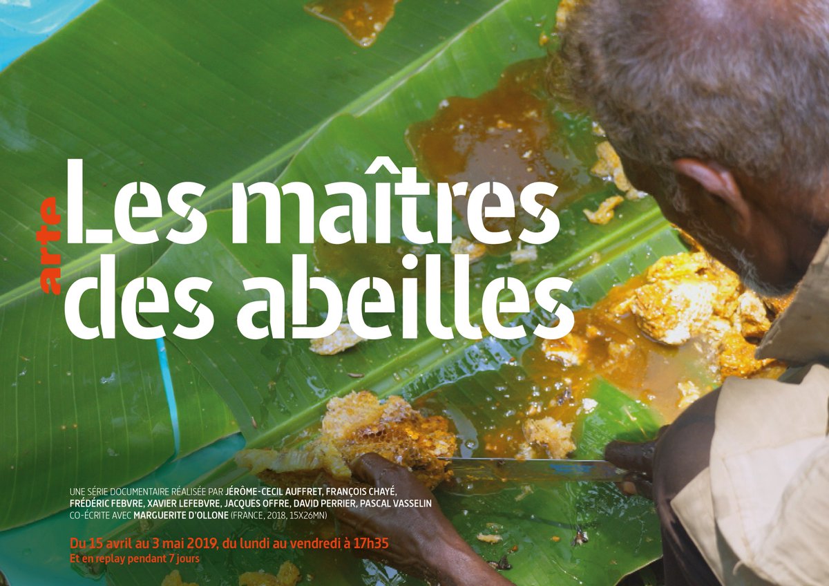 🎥🐝🌍A partir du 15 avril, <a href="/ARTEfr/">ARTE</a> diffusera une série documentaire  sur "Les Maîtres des Abeilles" autour du monde : Indonésie, Mexique, Kenya, France, Turquie, Russie, etc. On a hâte ! servicepresse.arte.tv/arte-diffuse-l…