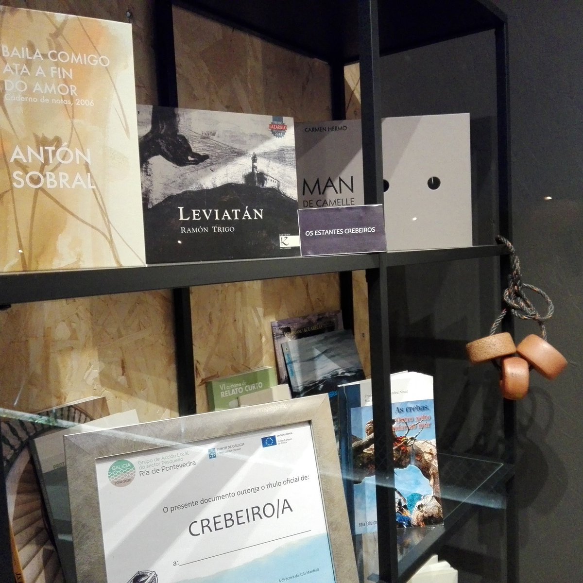 Bucea entre los libros de nuestros "estantes crebeiros" y piérdete en las páginas del "Leviatán", de Ramón Trigo o en las maravillosas calas del "Man de Camelle", de Carmen Hermo!!!