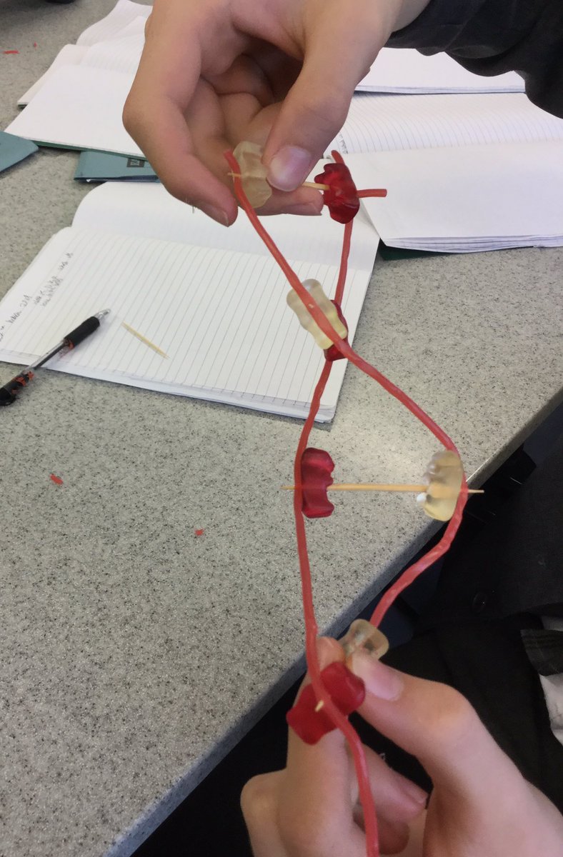 ea_science's tweet photo. Yr9 tried modelling DNA today - the verdict? We need thicker laces! #eascience #sciencerocks #biology #dna #lizziesscience @elizabethanac https://t.co/k7S4xniWds