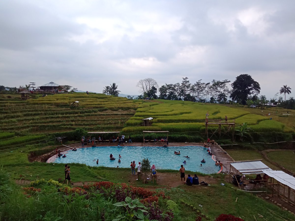 wowoevil's tweet photo. Ini yg namanya berenang di sawah, inovasi dr pak ndul wkwk https://t.co/bZ5M6EMukL