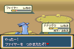 ポケットモンスターリーフグリーン