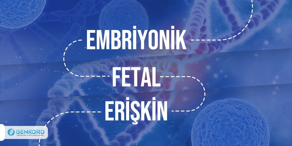 #BunuBiliyorMuydunuz Sınıflandırıldığında kök hücre kaynakları embriyonik, fetal ve erişkin kök hücreler olarak üç gruptan oluşur. Detaylı bilgi için; 0212 231 5350 - 0533 665 8971 #Genkord #KordonKanı #KordonKanıBankası