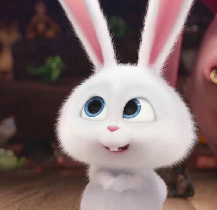 🍬 $ho¥u 🍬 ไม่ค่อยว่าง;-; 🍬 tweet media