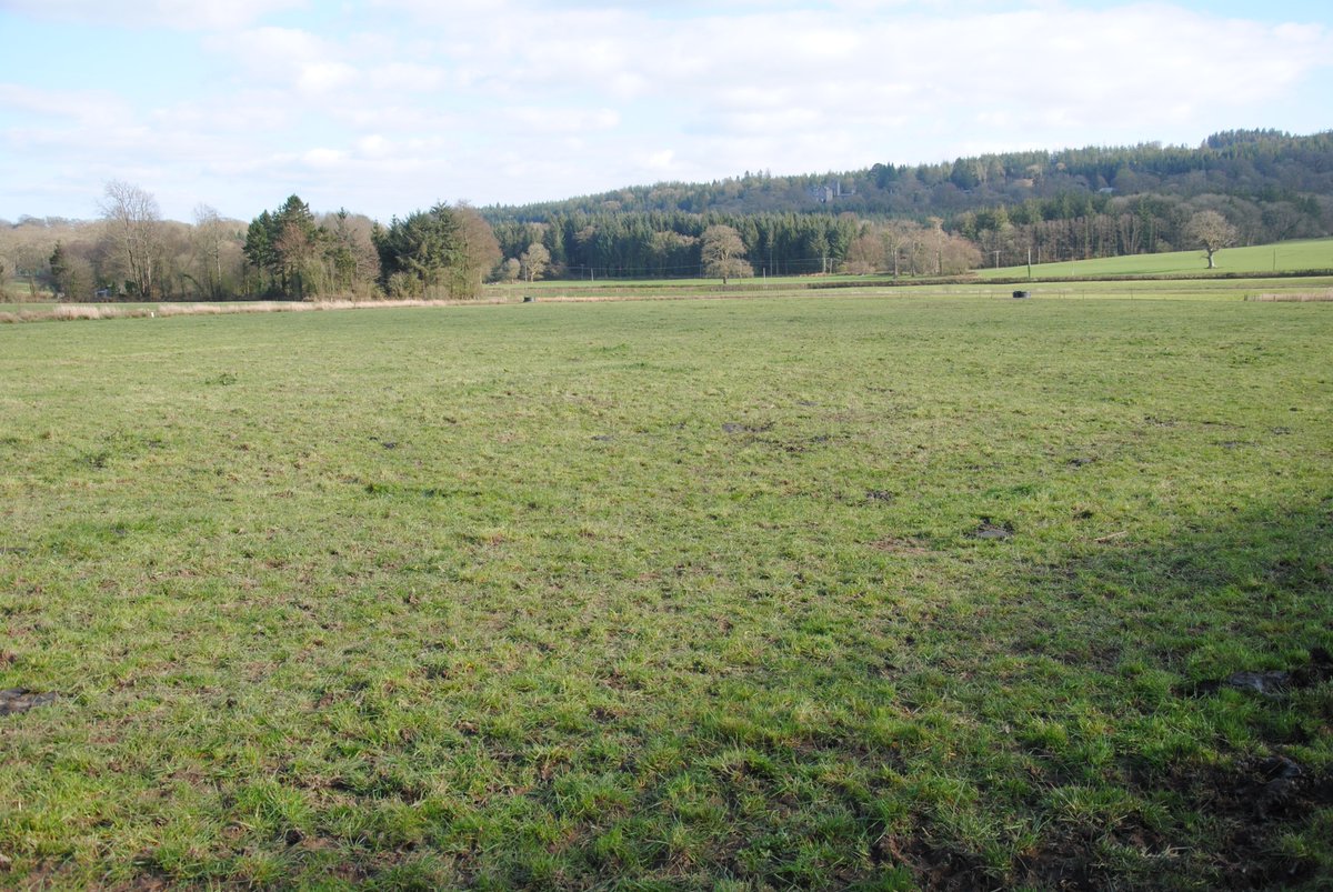 BrentGibbon's tweet photo. The cows have just come out of this field at Gelli Aur. #SmartGrass will be applied in the next few days to enhance early grass growth and give another bite in mid April. @NufarmUK https://t.co/77RlMjy5ge