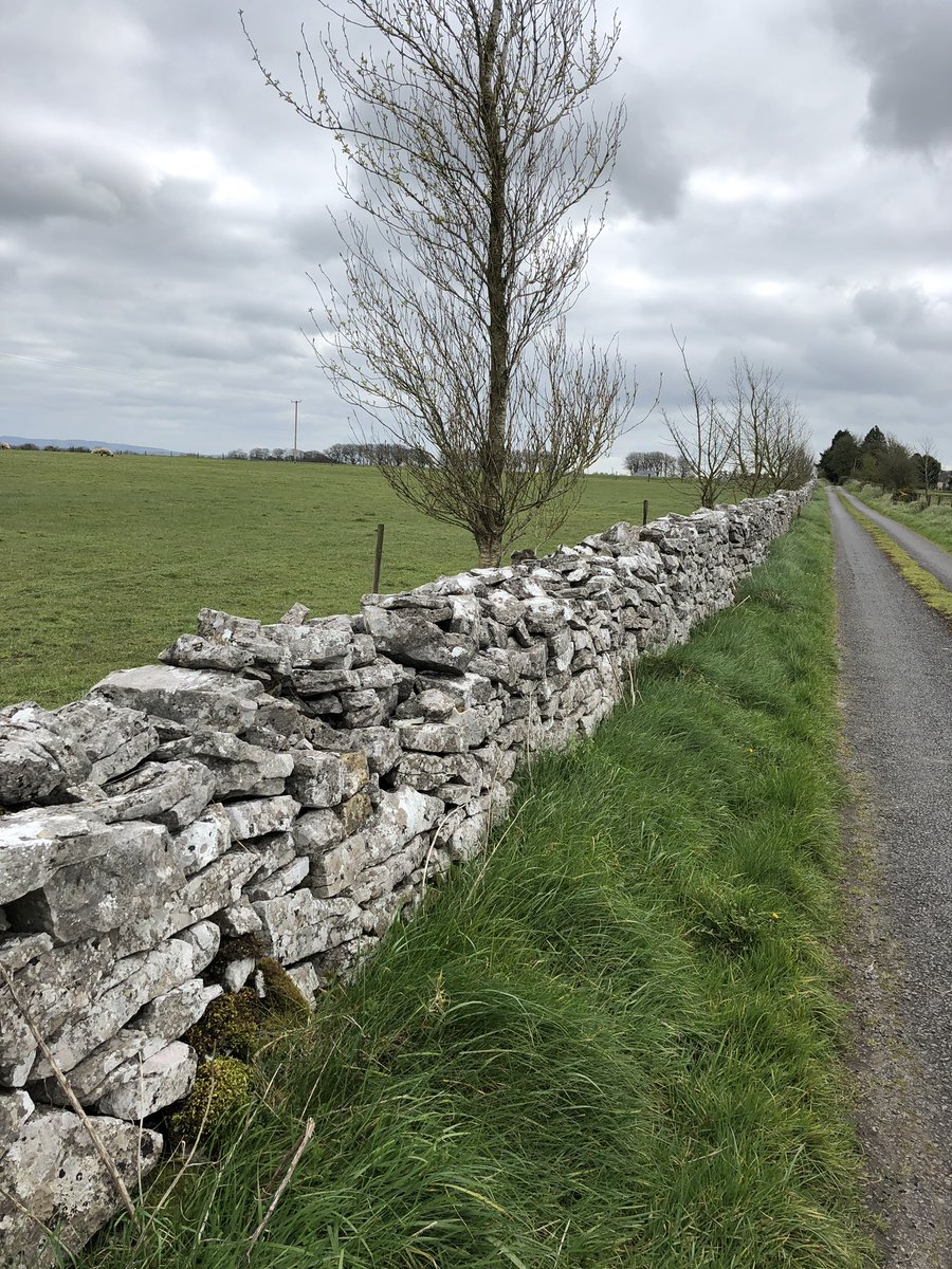 Stone wall in İreland 🚴‍♂️