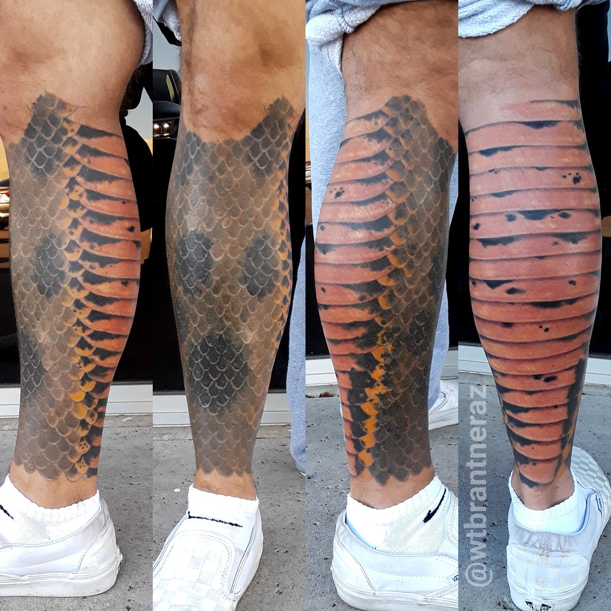 Understand and buy tattoo snake skin OFF-67