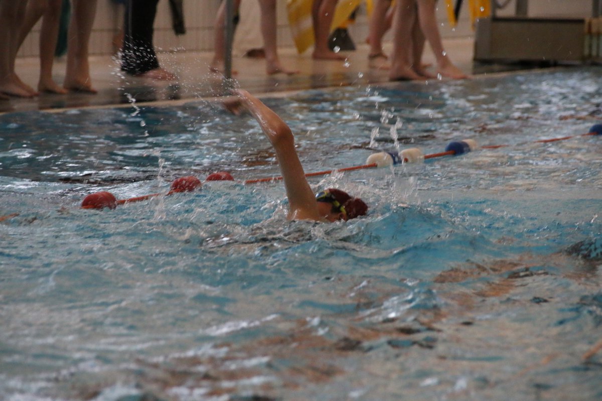 NorwichSSP's tweet photo. On Friday we held a Swimming Gala at @SportsparkUEA for pupils in yrs 4-6. The gala was part of the @NorfolkSchGames. For many pupils it was the 1st time they had ever competed in a swimming race. Read all about the gala, see photos &amp; view results https://t.co/y5qb9ES1EB https://t.co/8YSpeHnO3C
