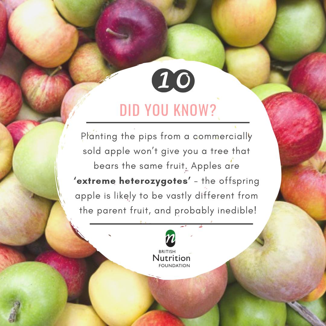 NutritionOrgUK's tweet photo. Did you know? Apples are 'extreme heterozygotes'! #WackyWorldofFruit #botanicallyspeaking https://t.co/I5jNasbH19