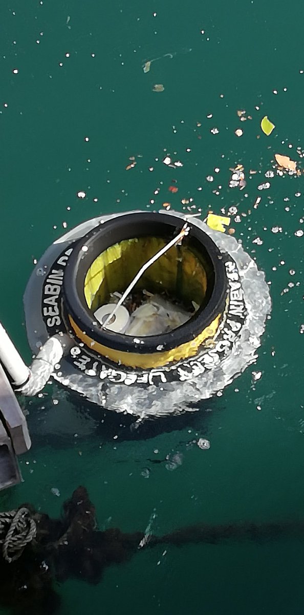 Coopitalia's tweet image. Al Marina Genova oggi consegniamo un #seabin per raccogliere la plastica dall'acqua del porto "È un piccolo grande gesto che conferma la nostra attenzione per l'ambiente" #StefanoBassi Presidente Ancc-Coop #CoopAmbiente  bit.ly/Coop-ambiente   @Seabin_project