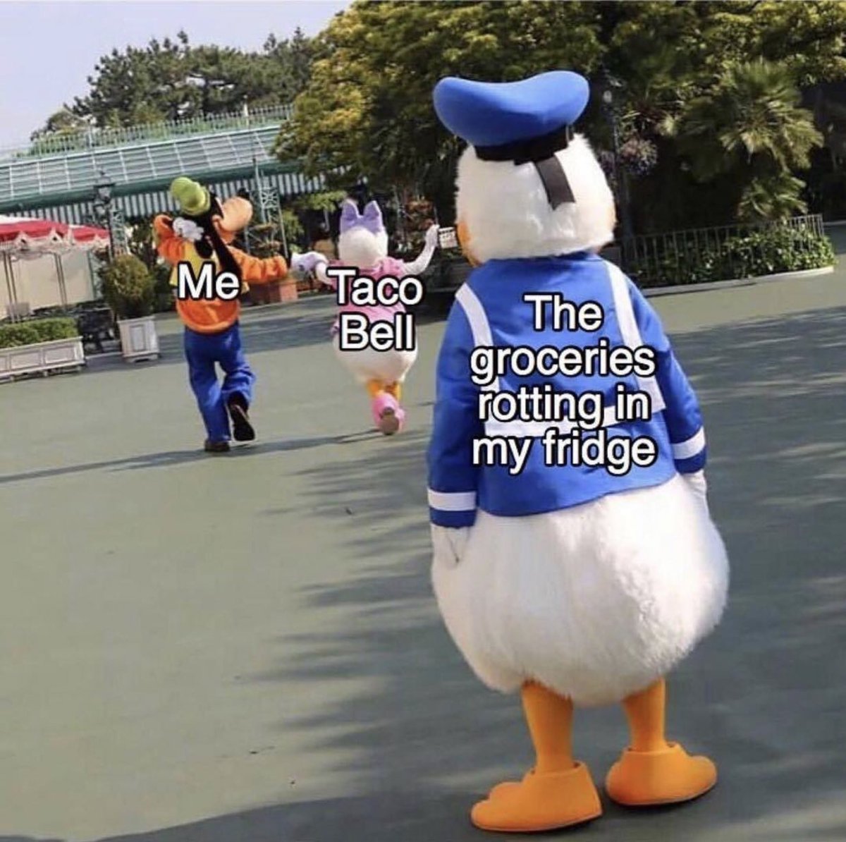 Karamo's tweet image. Legit my life story... 😭💁🏾‍♂️😭