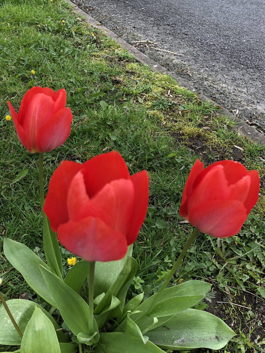 Spring finally here 🚴‍♂️🍀🚴‍♂️🕺