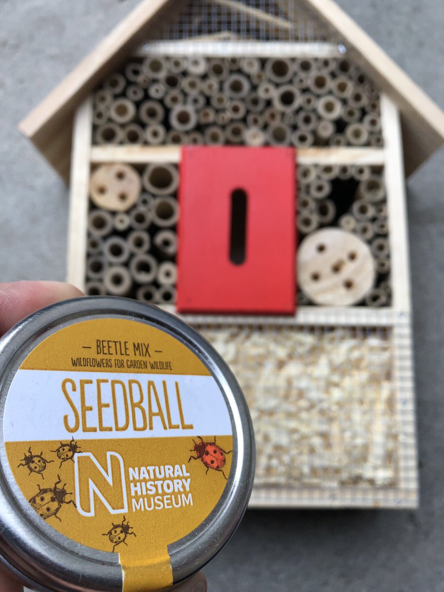 seed_ball's tweet photo. π RT @TheEnglishGard1: Getting ready for the lauch of the @RHSSchools this weekend in Norway π³π΄ A beautiful pairing donβt you think @seed_ball π @The_RHS πππππ·ππ¦ #beetlemix https://t.co/G54j8KXjF0
