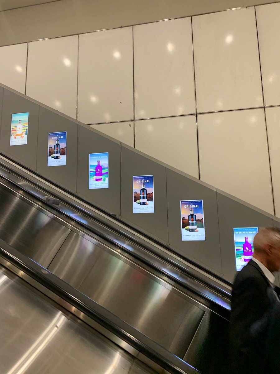 Gin Monkey (Emma) tweet media