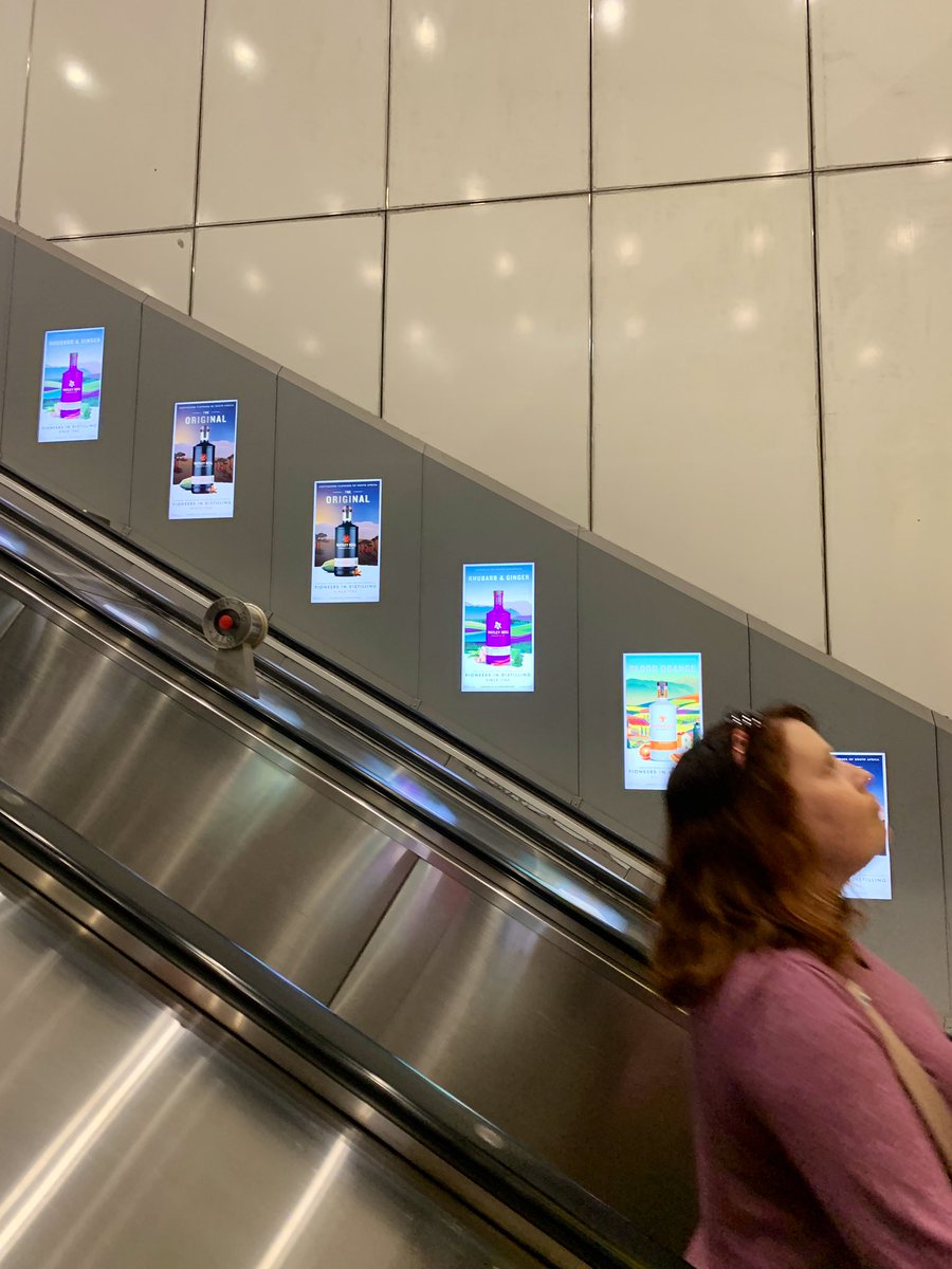 Gin Monkey (Emma) tweet media