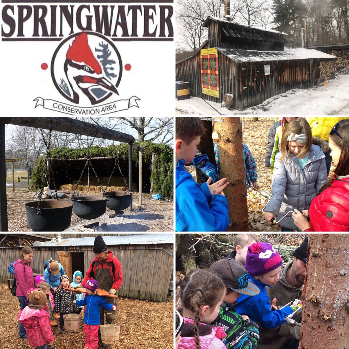 LockesPVA's tweet photo. Hope the Gr3’s have a ‘sweet’ time at the Sugar Bush today! #LockesPride @Lockes22 #SpringwaterConservation https://t.co/CL0FnBNV2M