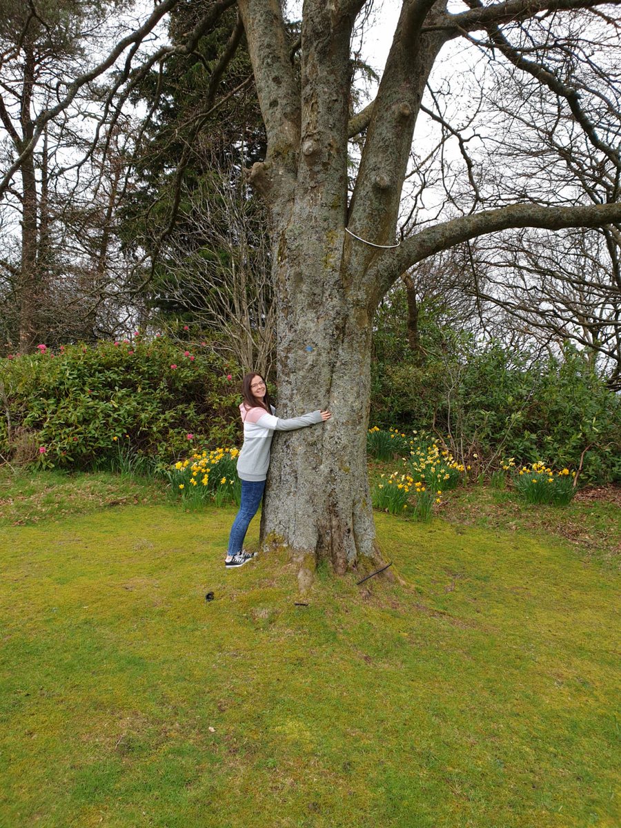 MissLMontgomery's tweet photo. Had fun taking part in some homework this morning! Hug a tree ✅ Read a book in the woods ✅ @MsDSouzaNewark https://t.co/s0yffMGYSH