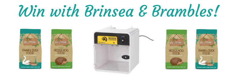BrinseaTLC's tweet photo. #Win a TLC-30 incubator worth £195 and @BramblesPawLtd #hedgehog, #swan & #duck food for your favourite wildlife rescue - click here to nominate: https://t.co/Mr8yC9nLkq Full Ts&Cs on the https://t.co/nD4iQcvdyy blog. Pls RT! The more nominations the more chances of winning! 🦔🦢 https://t.co/f3hfflWK61
