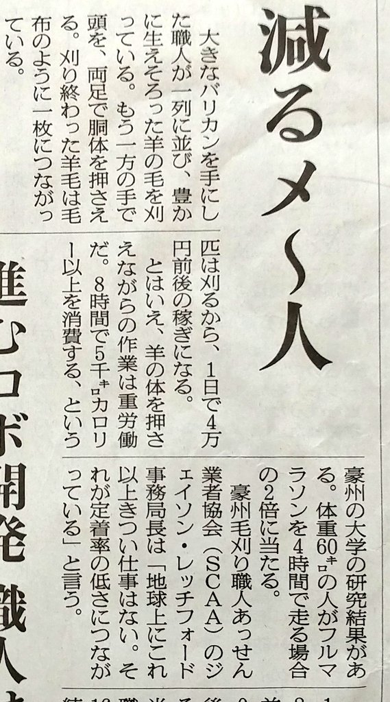 新聞とかいうメディア 月5000円も払って昨日のニュースが紙で届くってやばくない 確かにそう 紙は便利だよ Togetter