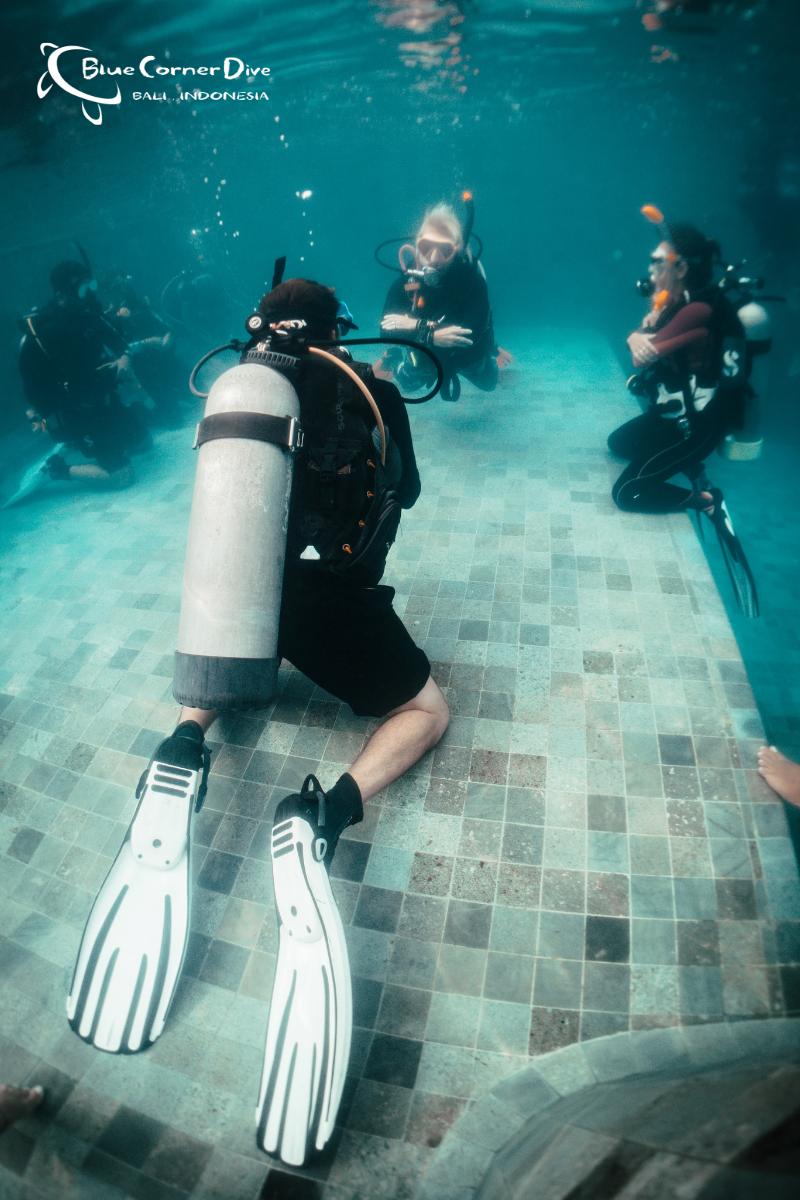 BCDLembongan's tweet photo. Underwater chill sesh. Aka IDC skills practise.

Come hang out underwater. 
Become an instructor. 
You know you want to.

👉https://t.co/Y1StydJF3B

#IDCLembongan #diveinstructor #divemaster #PADIidc https://t.co/wCiUz1y3JA