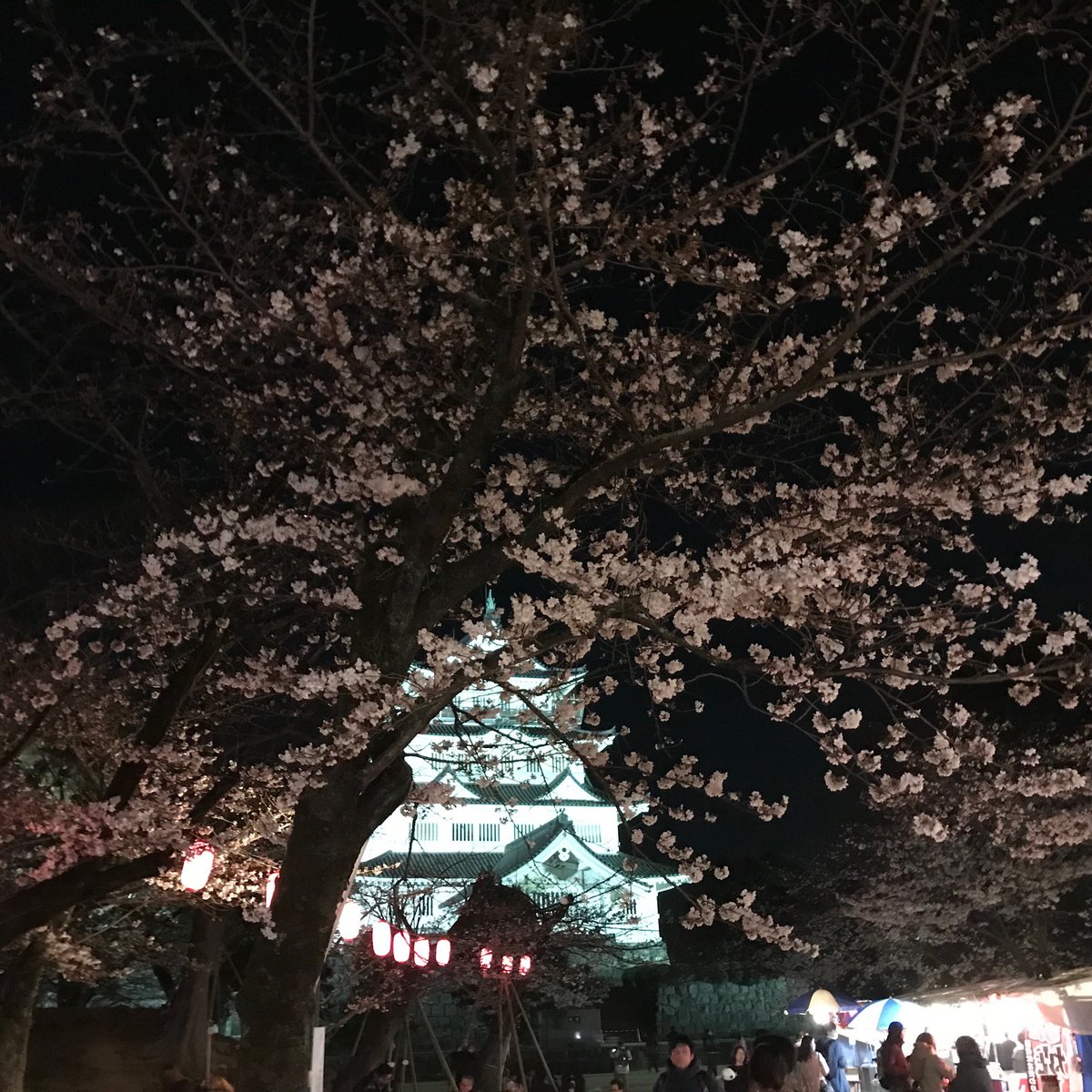 千葉城さくら祭り 千葉城さくら祭り