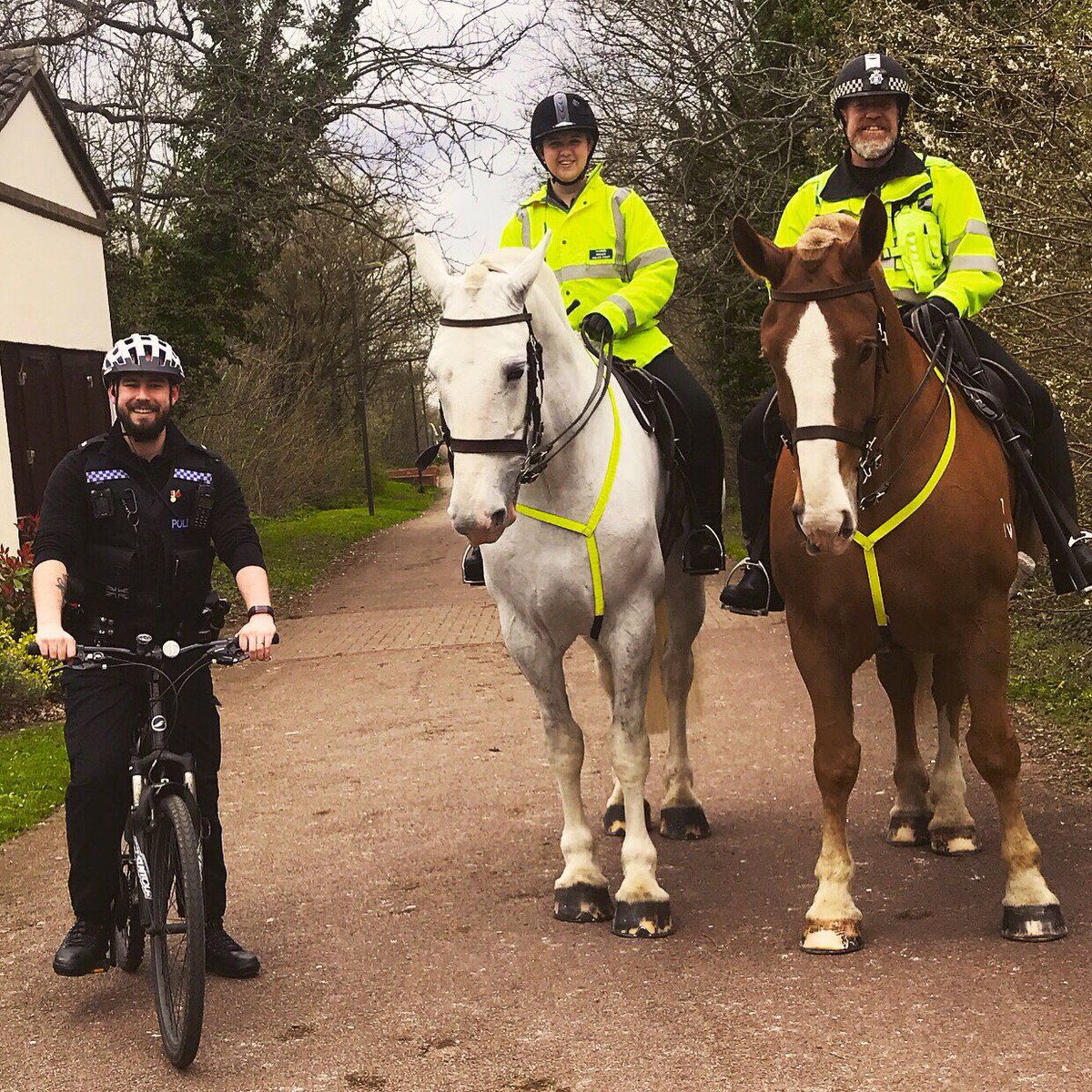 tvp_mk's tweet photo. Bumped into Police Horses Aurora and Luna from @TVP_horses today whilst out on cycle patrol! 
Work tip of the day: It’s always good to have a “stable” relationship with other departments 🙈👮🏻‍♂️🐎 #Punbelievable #IKnowItWasBad #SorryNotSorry #MKNHPT #P0968 https://t.co/DeQi7ePETU