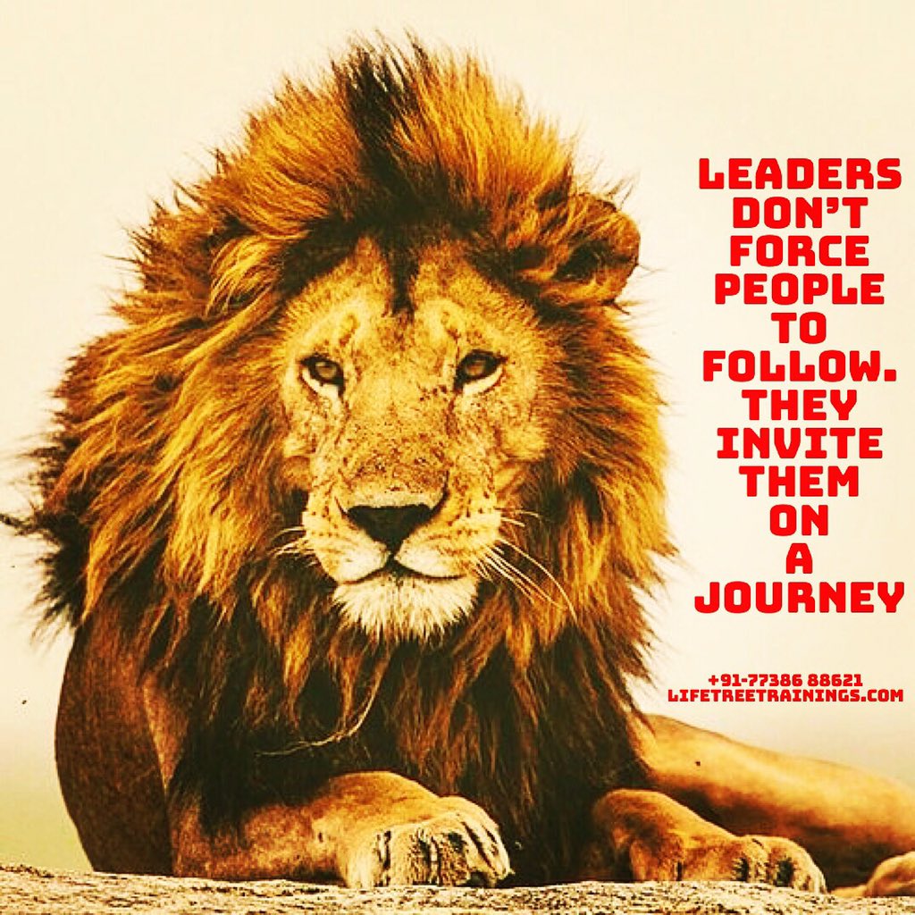 LifeTreeTrainin's tweet image. 