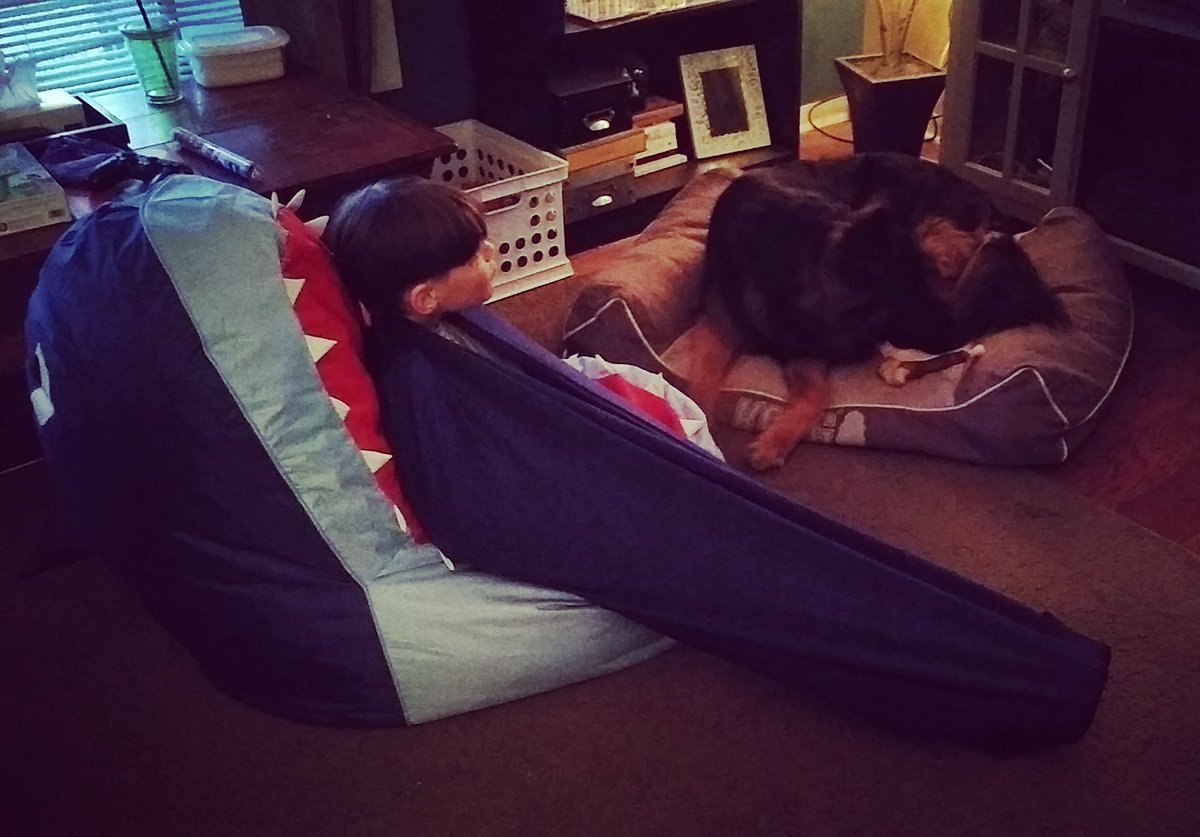 FauxPawTextiles's tweet photo. Spent yesterday recovering from birthday anxiety. Thankfully Grandma sent some O.T. tools in the mail for presents. #8YearsOld #Autism #OT #BodySock #AccessIsLove #GrandmasShouldRuleTheWorld #DarkoCharles #VladanZenRicher #ABoyAndHisASDGuideDog https://t.co/JIQiODkw3y