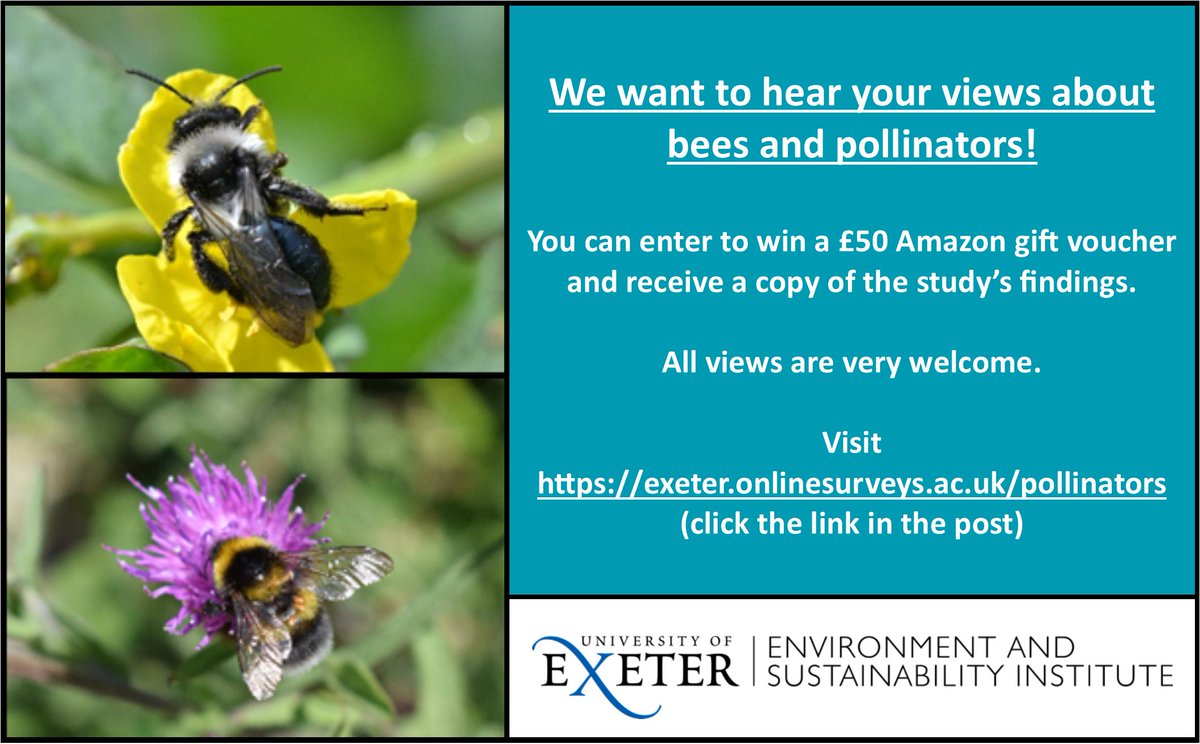 ben_phi11ips's tweet photo. We want to hear YOUR views about #bees and #pollinators!

You could win a £50 Amazon gift voucher and receive a copy of the study’s findings. All views are very welcome, even if you have no interest in pollinators.

https://t.co/UmoGFLevXk

Please help us by retweeting! https://t.co/X19ryyCzVh