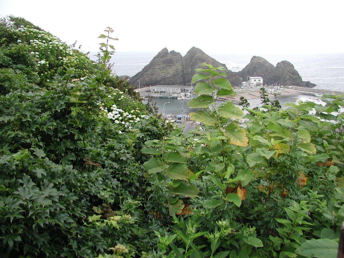 Hosomichi_13's tweet photo. 国道339号その４，階段国道の続き。写っている島は帯島。2003-7-29　#青森 #外ヶ浜 #酷道 #r339 #階段  #階段国道 #帯島 #archive https://t.co/gkXOYrJ31q