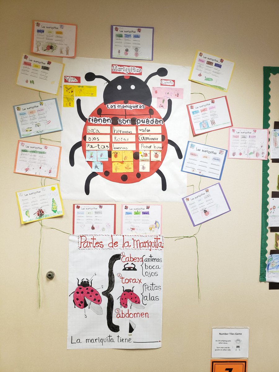 Amrivasteach's tweet photo. Students learned and wrote about ladybugs. They are getting ready to observe the real ones :-). @Martin_Mustangs @AliefScience https://t.co/6Y0kRQMfBD