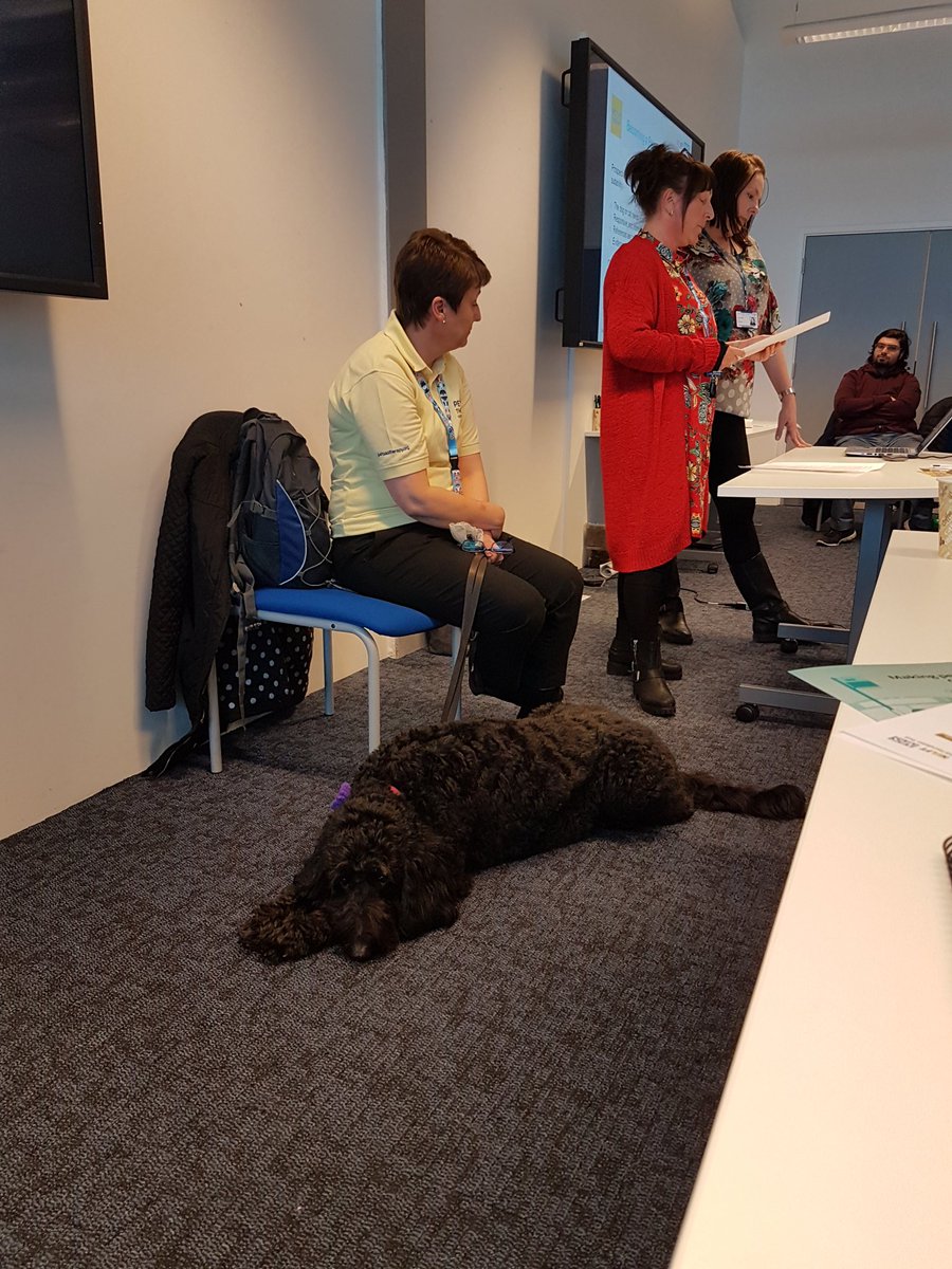 kieran_ot's tweet photo. Our award winning OT @queenof60s highlighting the benefits of Pets as Therapy and the role and purpose that animals can provide.
#NELFTOTconference 
@NELFT_OT 
@NELFTLetsEngage https://t.co/JnCcB77LIo