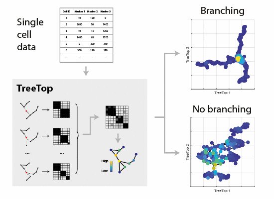 MolSystBiol's tweet photo. TreeTop: new algorithm that models #SingleCell high‐dimensional data as an ensemble of trees to assess whether there is evidence of branching --> https://t.co/eiM1DDbub5 from M Claassen @ETH_en @IMSB_ETH #MSBMethod https://t.co/bh7Olvnsom