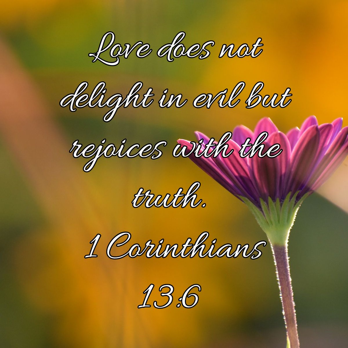 quillin_w's tweet photo. Love does not delight in evil but rejoices with the truth.
1 Corinthians 13:6 NIV
https://t.co/mMtbWs1wWS https://t.co/ELgPd22imH